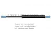 Piezas puerta maletero RENAULT Espace