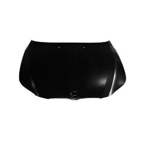 Acceder a la pieza Capó delantero