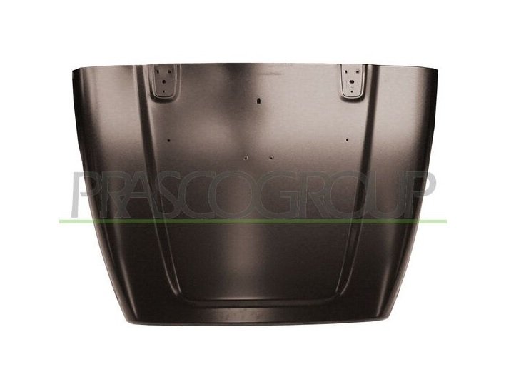 Acceder a la pieza Capó delantero