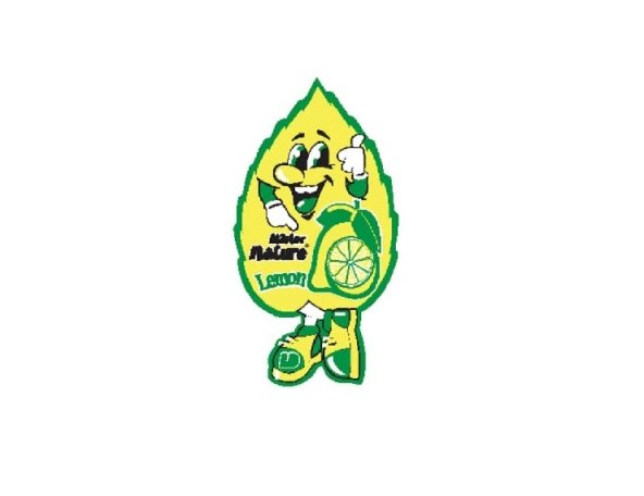 Acceder a la pieza AMBIENTADOR FORMATO PINO: AROMA LIMON