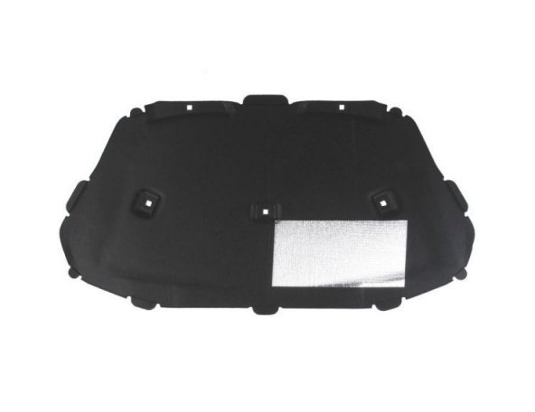 Acceder a la pieza Panel insonorizado capó