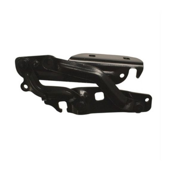 Acceder a la pieza Bisagra derecha capó