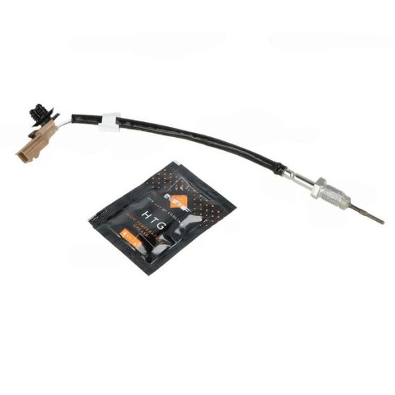 Acceder a la pieza Sensor de temperatura de gas de escape