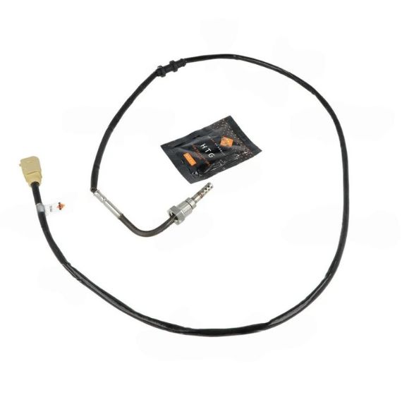 Acceder a la pieza Sensor de temperatura de gas de escape