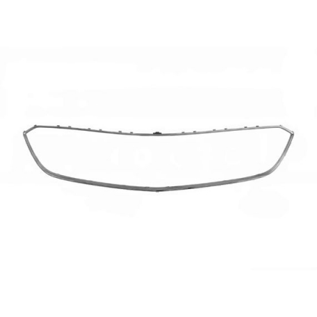 Acceder a la pieza Marco rejilla radiador, cromada